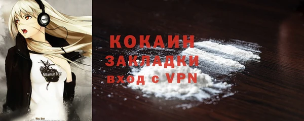 винт Пересвет