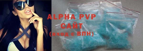 гашик Ветлуга