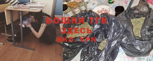 винт Пересвет