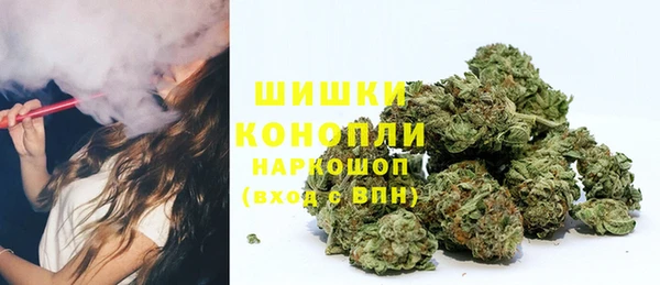 винт Пересвет